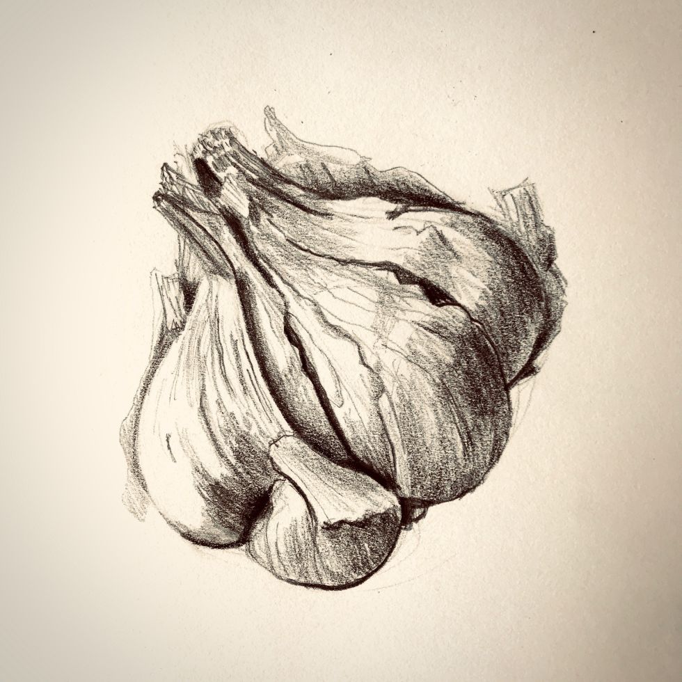 isset($RechercheIndex->data['titre']) ? $RechercheIndex->data['titre'] : ''